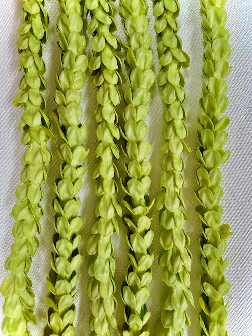 Pakalana Twisted Lei