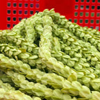 Pakalana Twisted Lei